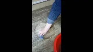 ОТЗЫВ о продукции ERSAG / ЭРСАГ - Применение Чистящего средства общего пользования /код 105