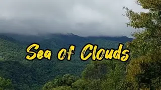 Sea of Clouds way to Camp Awol #camping #nature #travel