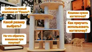 Сборка кошачьего комплекса! Как приучить использовать кота когтеточку? Какой размер/высоту выбрать?