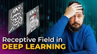 What is the Receptive Field in Convolutional Neural Networks?