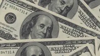 What is a Majority Shareholder