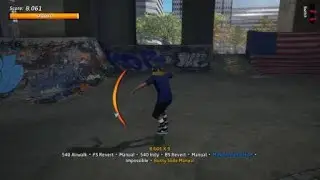 Tony Hawk's 