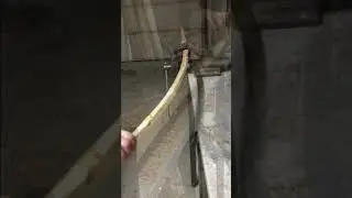 Making an English Longbow 