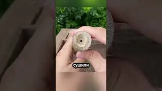 🔥 How did people in ancient China keep fire going without a lighter?