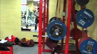 Squat with added elastic bands (gravity direction and reverse)