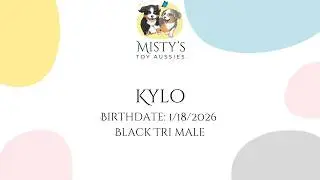 Kylo