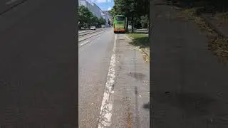 Unterschied Fahrbahnbegrenzung, Fahrstreifenbegrenzung, Leitlinie #Fahrschule #Theorie