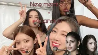A 2022 Guide to Blackswan And its Members (Hopefully helpful)