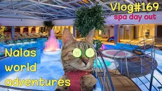 Tartu Spa Stay 😻 Vlog #169