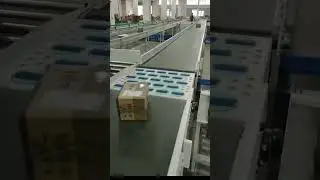 smart automated sorting solutions