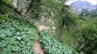 Fontanadoro