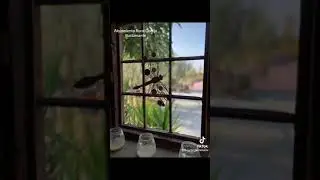 Cortijo Bustamante Alojamiento Rural