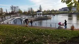 Осіння прогулянка