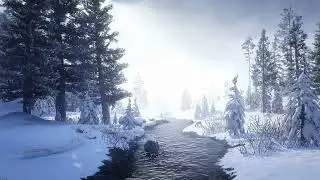 winter forest water stream 4k live wallpaper