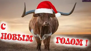 ЗВУК БЫКА !!! 30 минут улетного веселья !!! С НОВЫМ 2021 ГОДОМ !!! МЫЧАНИЕ БЫКА !!!