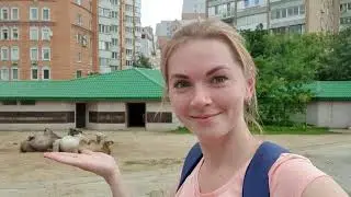 Филипп и Алиса в зоопарке 2020