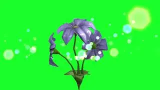 green screen effects .flowers green screen effects.rose effects green screen