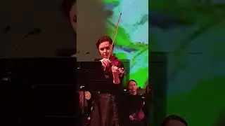 Звуки скрипки