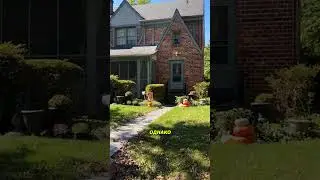 Кошку перепутали с праздничным декором