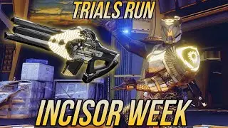 Destiny 2 - Trials of Osiris (INCISOR WEEK)