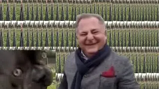 Milion Koperkowych Psów żre koperek