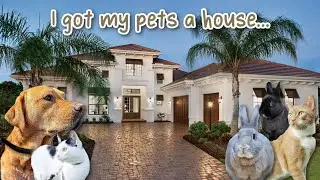 I got a House for my 5 Pets | Empty House Tour