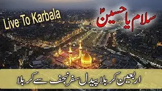 The Arbaeen Walk 2018 |   1440H   | Najaf to Karbala