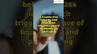 Bitcoin Crash  
