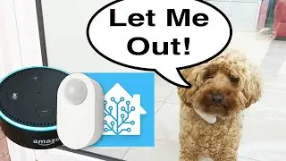 Let the dog out! Motion activated notifications using Home Assistant