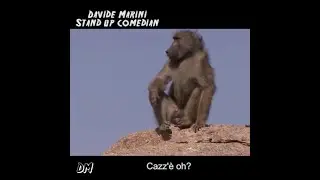 Il passato di Attilio
