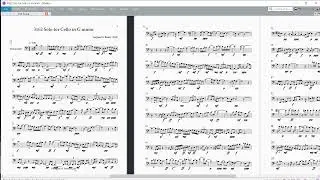 3162 Solo for Cello in G minor