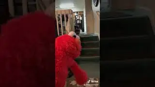 Elmo versus the dog park two!!