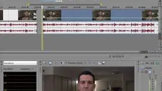 Sony Vegas: Freeze Frame