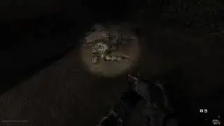 ФИНАЛ + АЛЬТЕРНАТИВНЫЙ ФИНАЛ (S.T.A.L.K.E.R. Anomaly) (76)