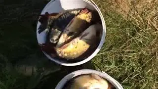 Рыбалка в Крыму 30.06.2020 с. Отрадное оз. ГерАмур.