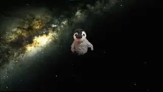 I put Bob's Music over the end of the world