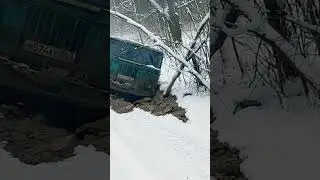 засадили шишигу! 