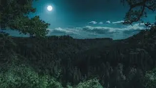 Мелодия для душевного спокойствия, медитации, релаксации, крепкого здорового сна Пение соловья лесу