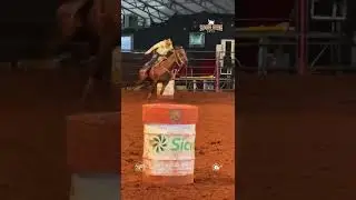 Sumaré Arena Music 2023 #cavalo #cavalos #rodeios #rodeio #trestambores #rodeo #sumare #animais