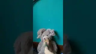 Happy Easter foot fun