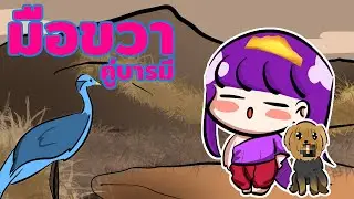 มือขวา คู่บารมี นักล่าคนสนิท new-im toon