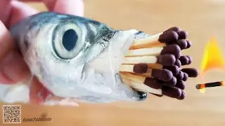 Fish Vs Matches! Chain Reaction!