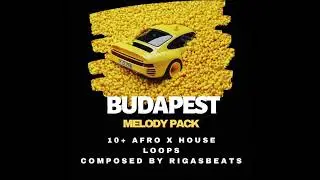 [FREE] (10+) Afro House Loop Kit - 