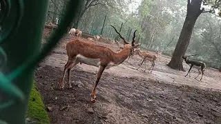 sikidiri ghati October 3, 2024