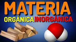 Materia orgánica e inorgánica [En 1 minuto]