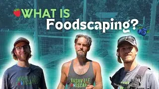 Nashville Foodscapes: All About Edible Landscaping and The Importance of It Today