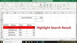Lesson43 || Highlight Search Results in Excel || Conditional Formatting in Excel || Raza Academy