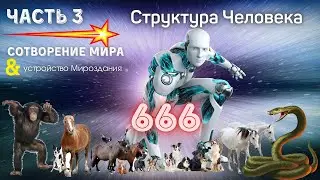 Структура человека.МНОГОМЕРНОСТЬ, как подобие Бога
