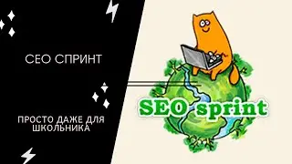 Как ЗАРАБОТАТЬ школьнику на SEO sprint?