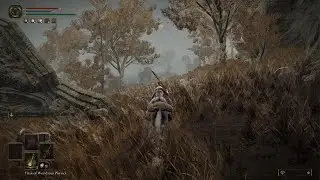 ELDEN RING_DLC Shadow of the erdtree Rugalea the red Great Bear vs rl1 scadu 17 Bossfight
